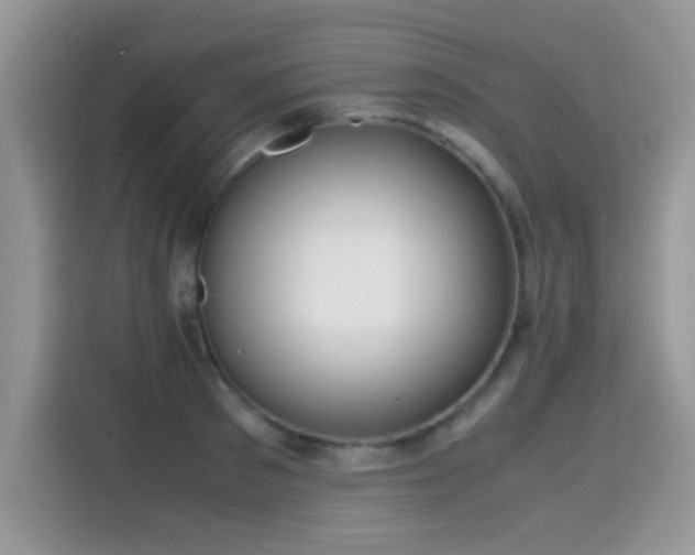X0000115300897200911091010