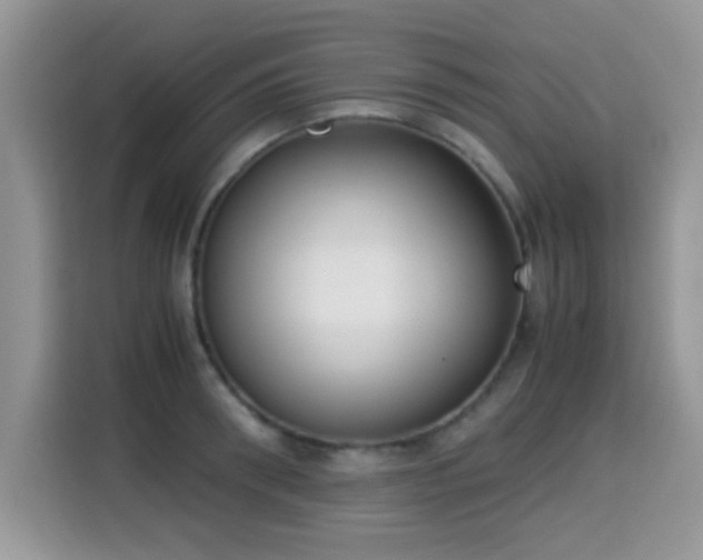 X0000115300898200911091010
