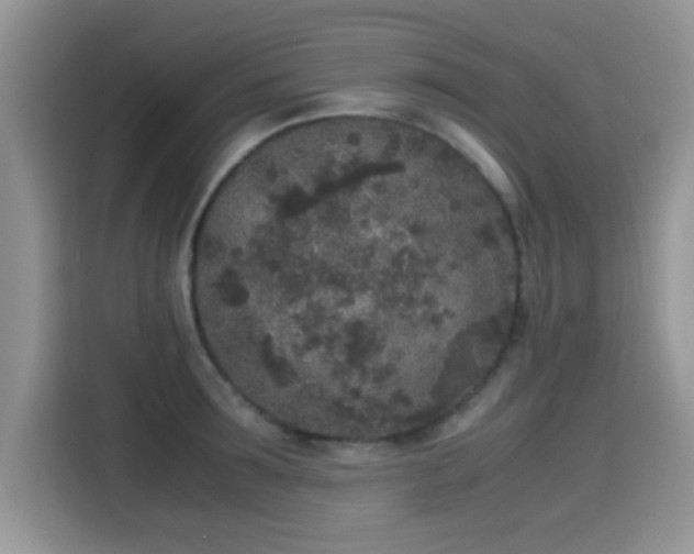 X0000115300899200911091010