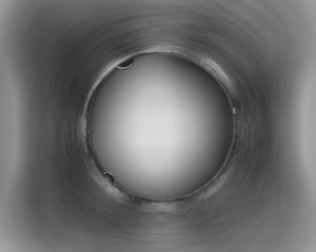 X0000115300900200911091010