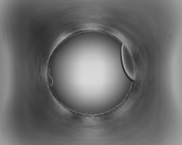 X0000115300901200911091010