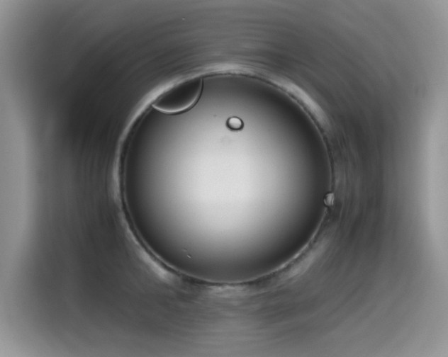 X0000115300902200911091010