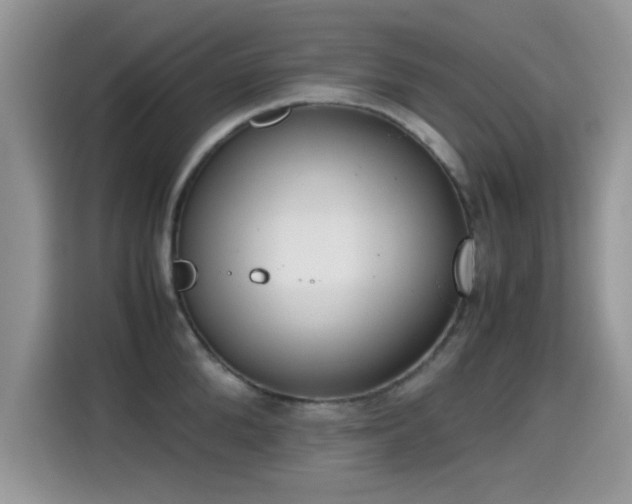 X0000115300904200911091010