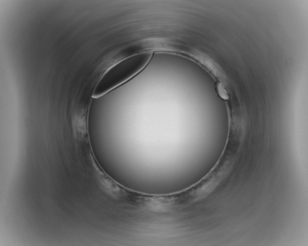 X0000115300905200911091009