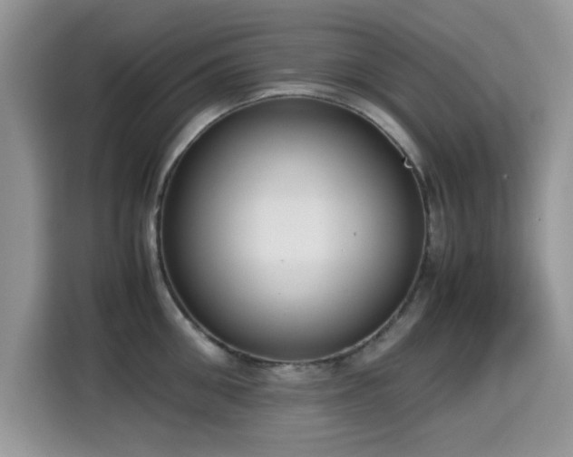 X0000115300906200911091009