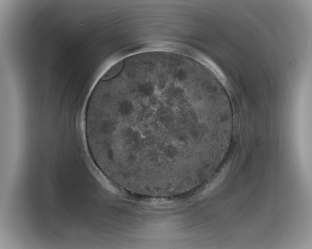 X0000115300907200911091009