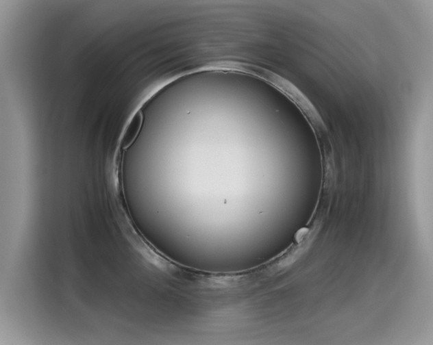 X0000115300908200911091009