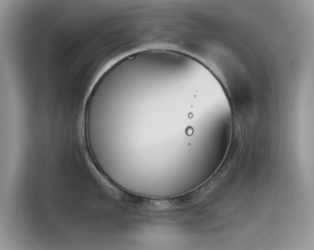 X0000115300911200911091009