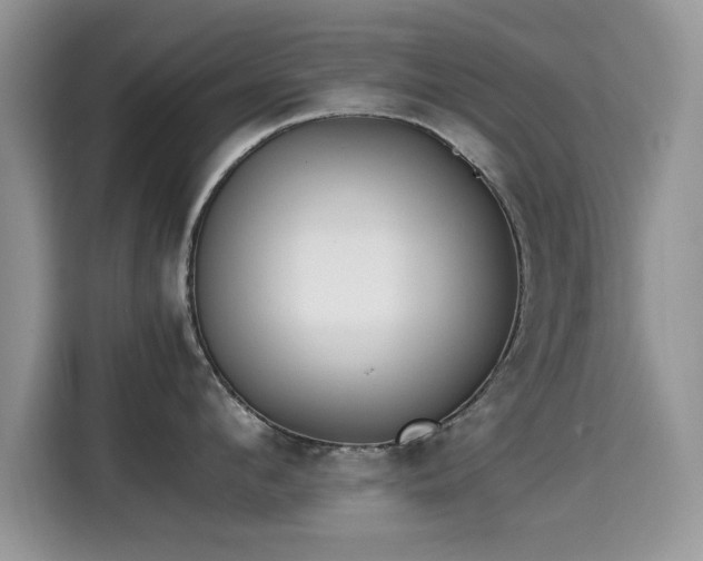 X0000115300912200911091009