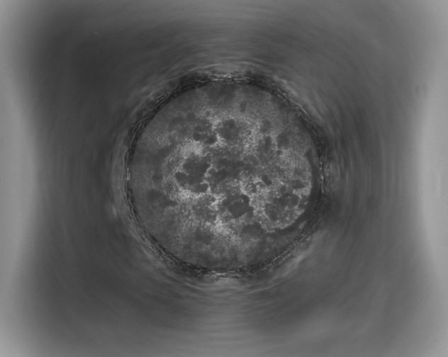 X0000115300913200911091009