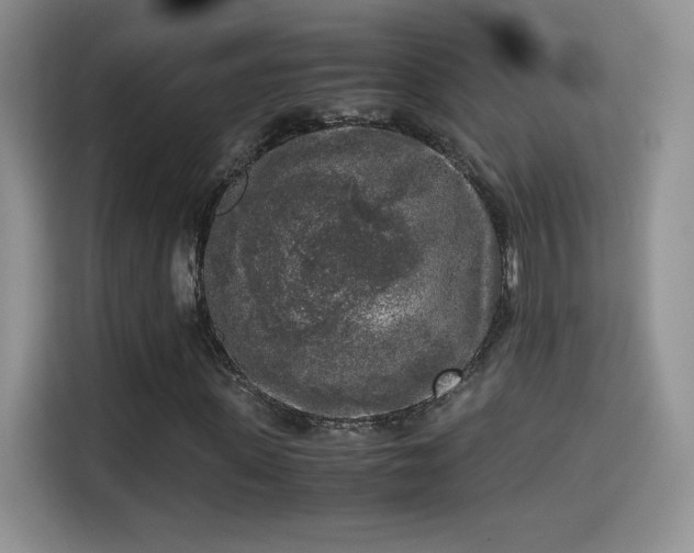 X0000115300915200911091009