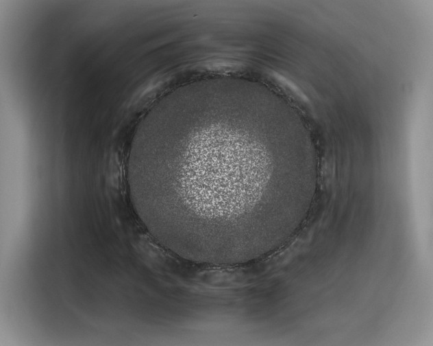 X0000115300917200911091009