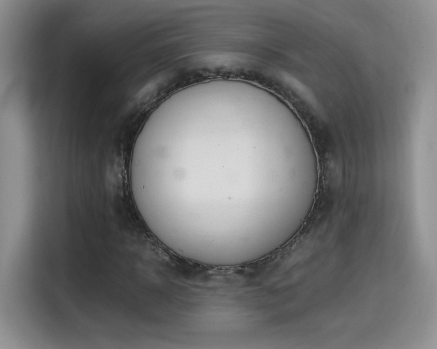 X0000115300918200911091009