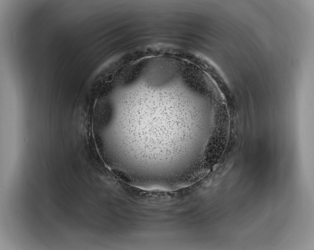 X0000115300919200911091009