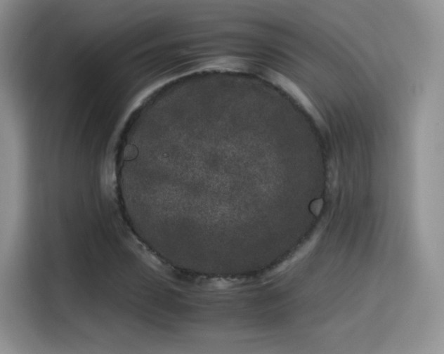 X0000115300923200911091009