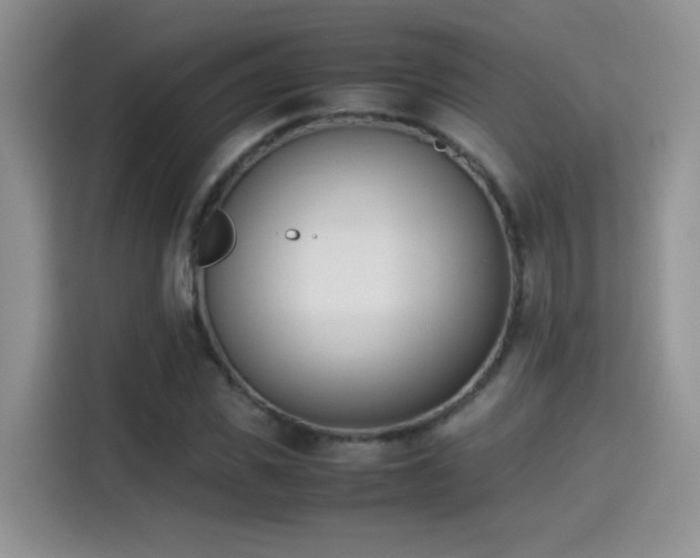 X0000115300925200911091009