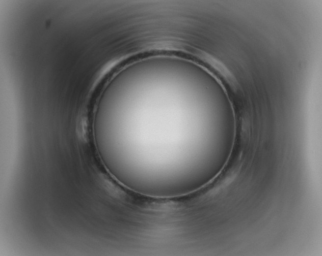 X0000115300926200911091009