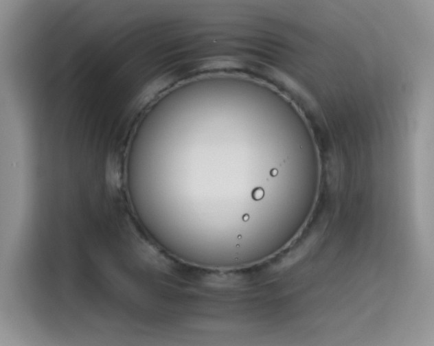 X0000115300929200911091009