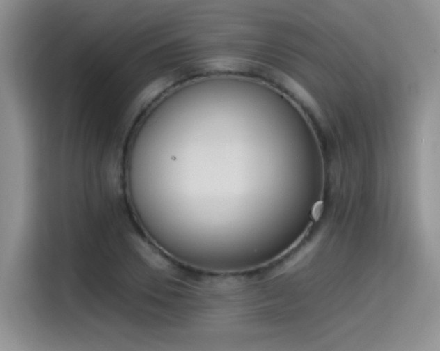 X0000115300930200911091009