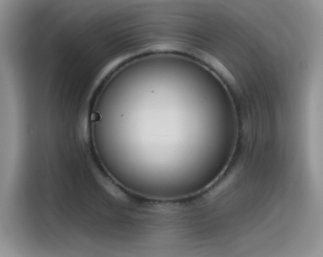 X0000115300934200911091009