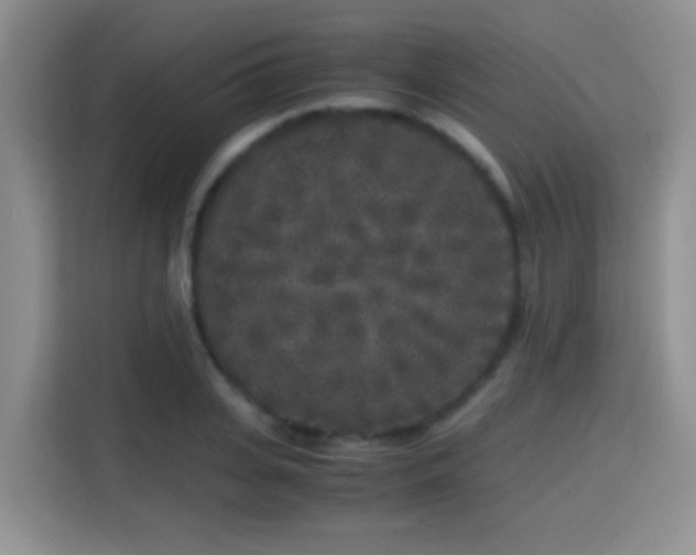 X0000115300935200911091009
