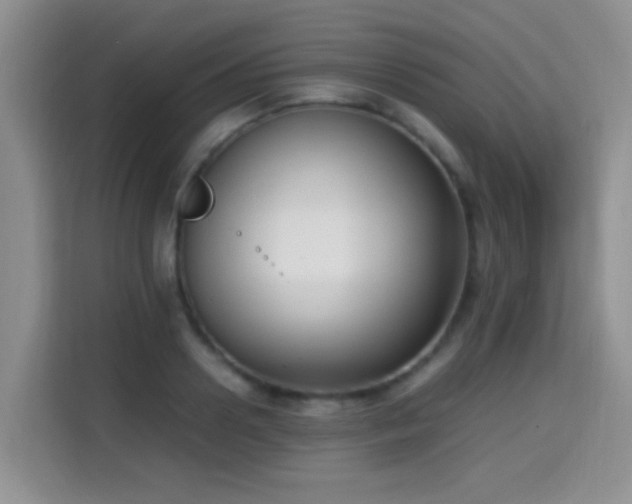 X0000115300938200911091009