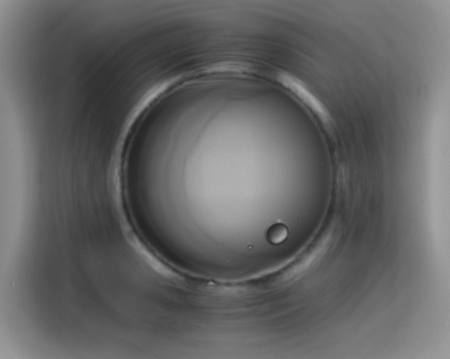 X0000115300941200911091009