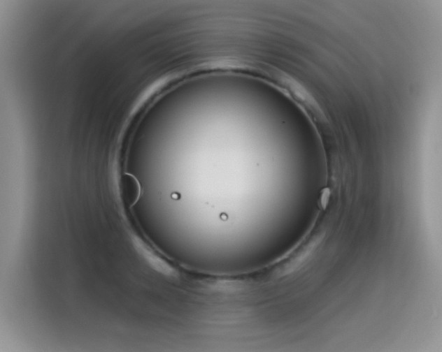X0000115300942200911091009