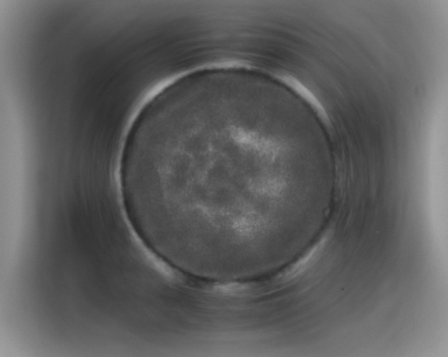 X0000115300943200911091009