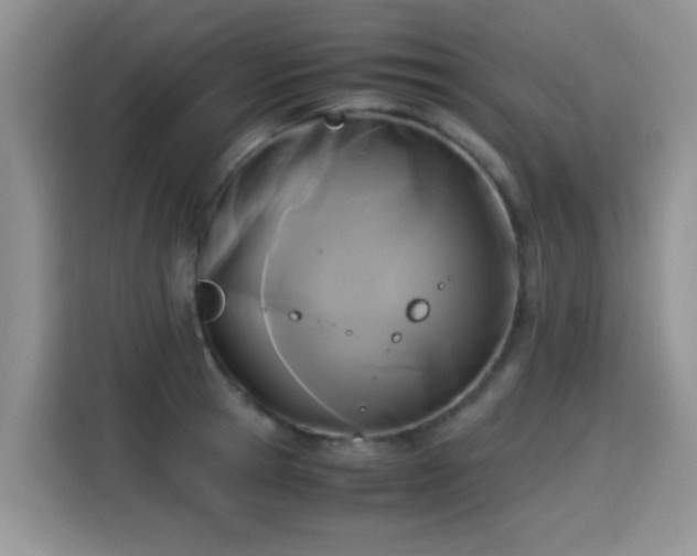X0000115300945200911091009
