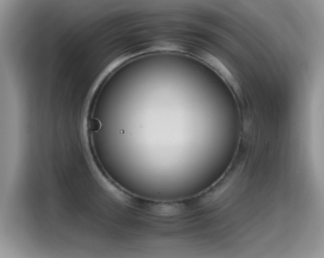 X0000115300947200911091009