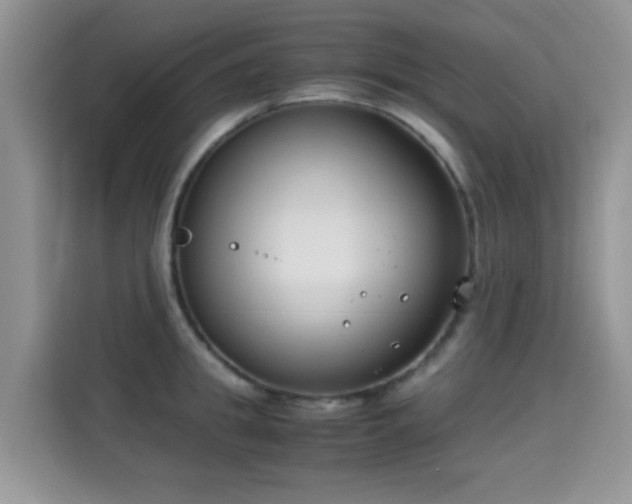 X0000115300949200911091009