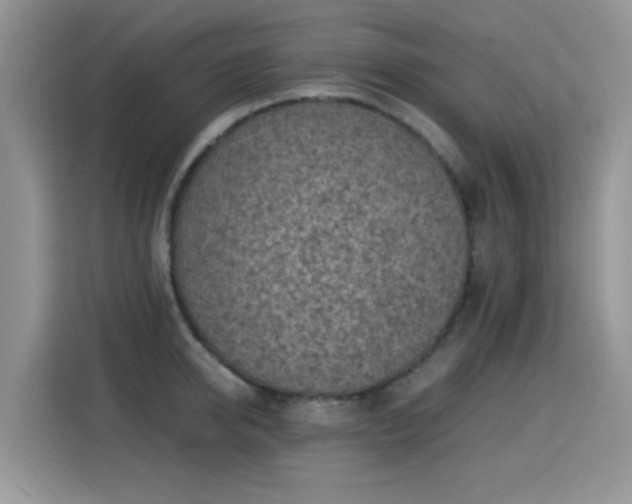 X0000115300950200911091009
