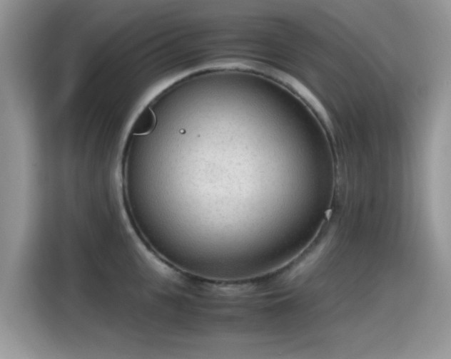 X0000115300951200911091009