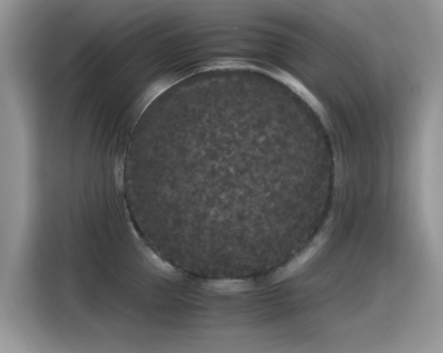 X0000115300953200911091009