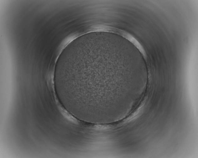 X0000115300954200911091009