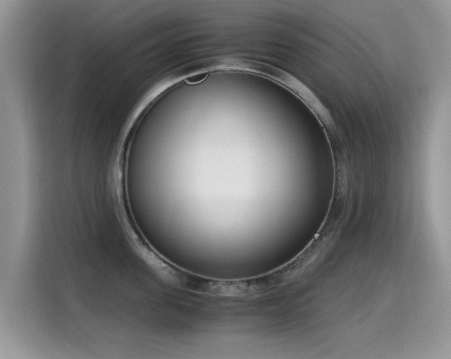 X0000115300955200911091009