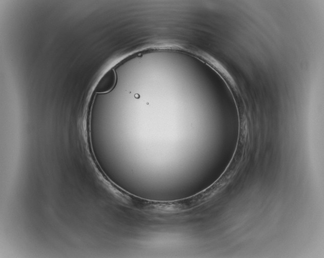 X0000115300959200911091009