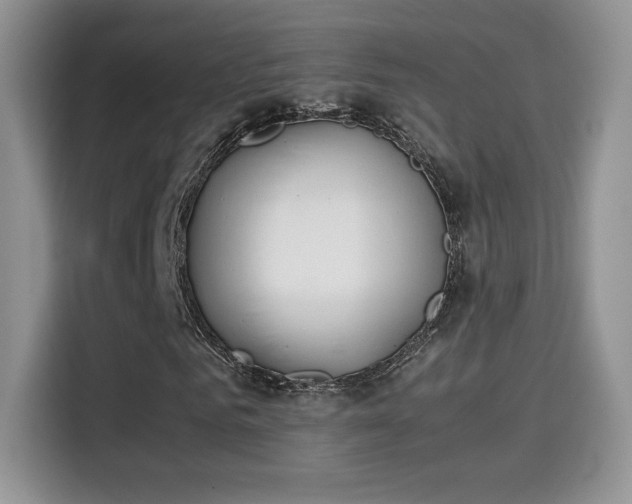 X0000115300961200911091009