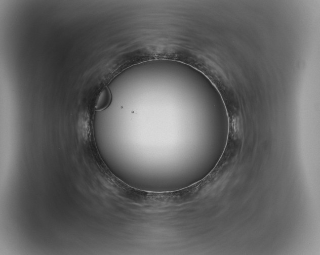 X0000115300963200911091009