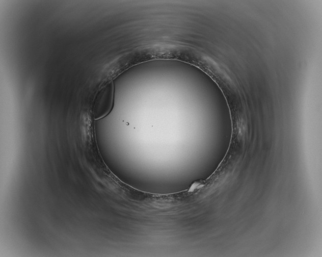 X0000115300964200911091009