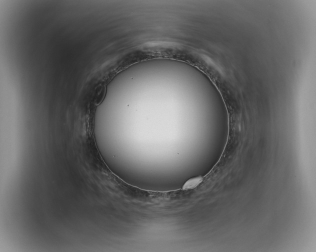 X0000115300965200911091009