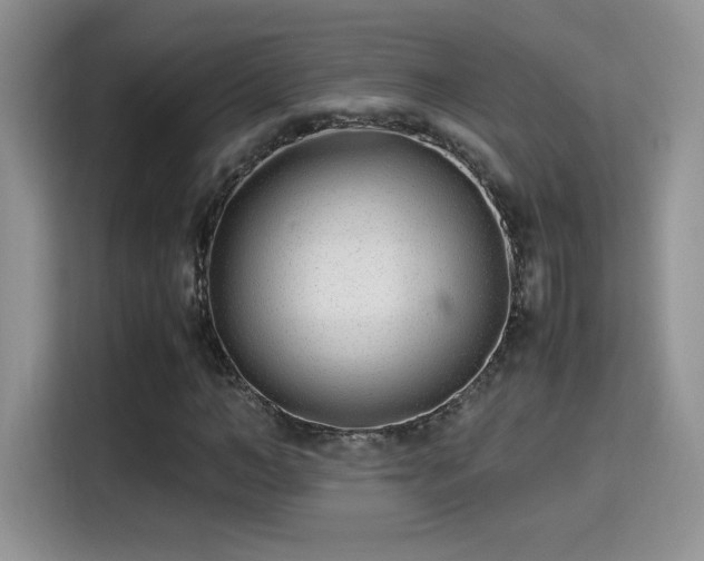 X0000115300966200911091009