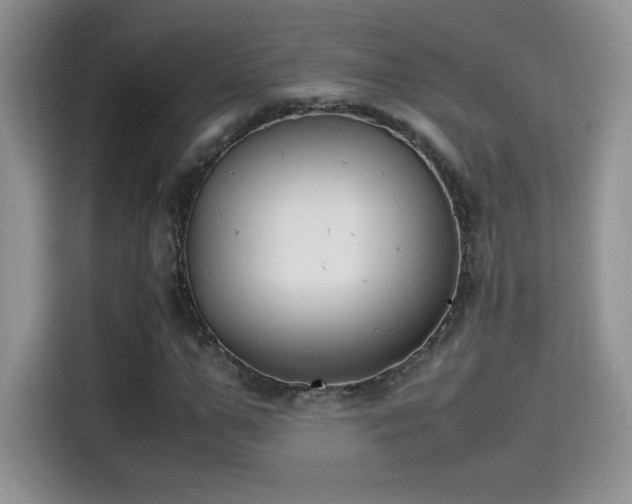 X0000115300967200911091009