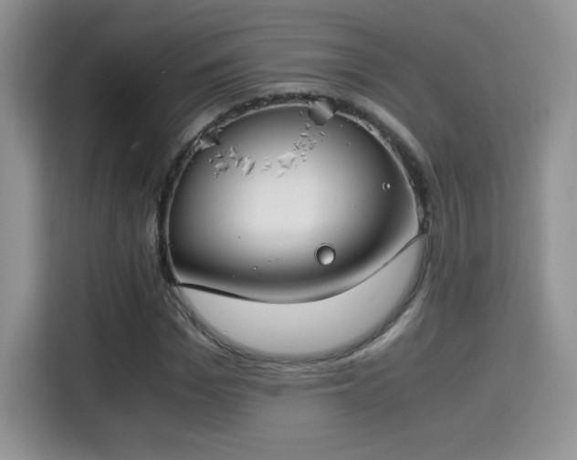X0000115300969200911091009