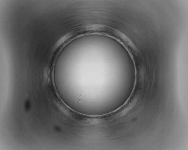 X0000115300970200911091009