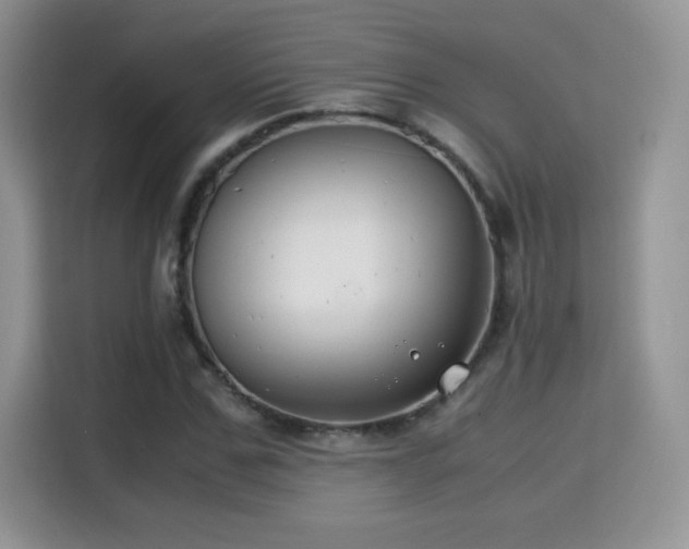 X0000115300971200911091009