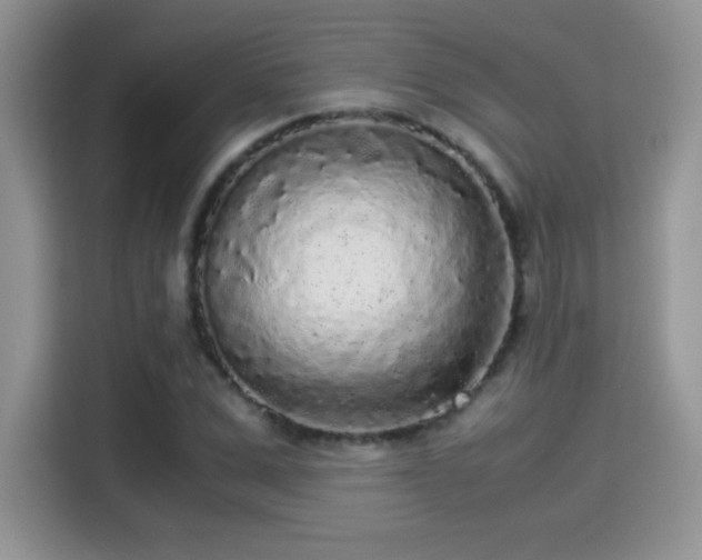 X0000115300975200911091009