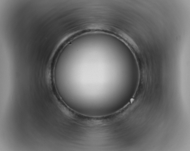 X0000115300976200911091009