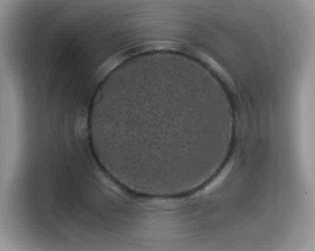 X0000115300977200911091009
